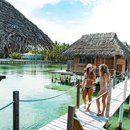Azul Paradise Bastimentos Ngoại thất bức ảnh