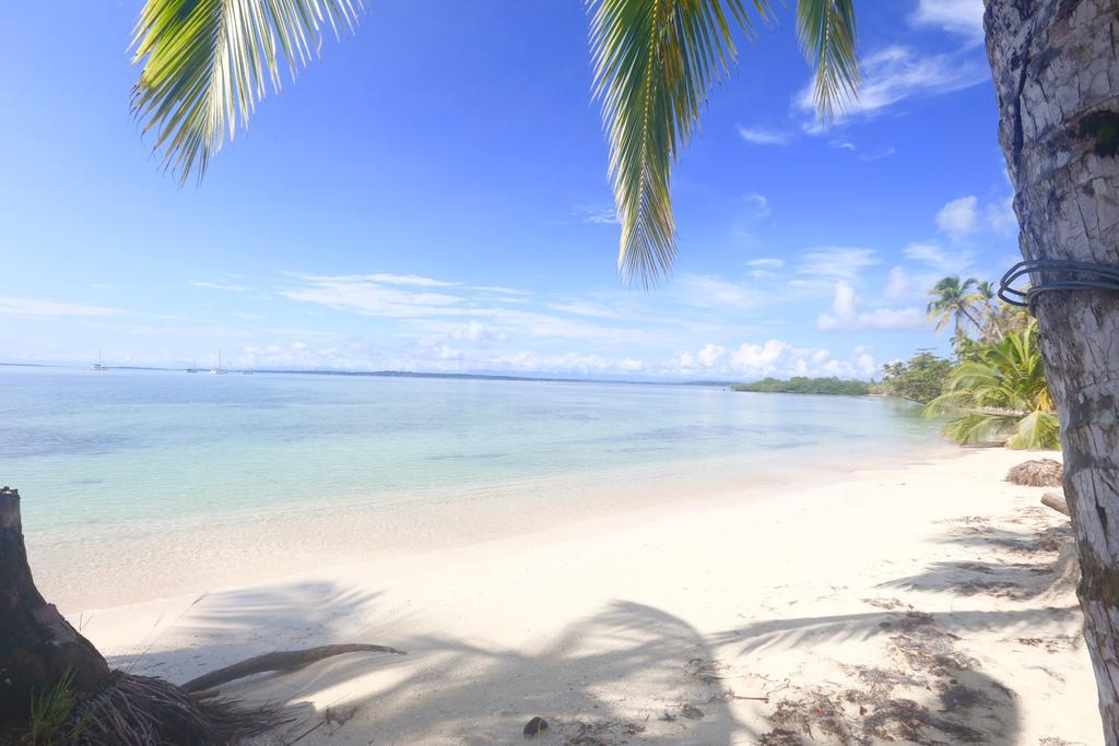 Azul Paradise Bastimentos Ngoại thất bức ảnh