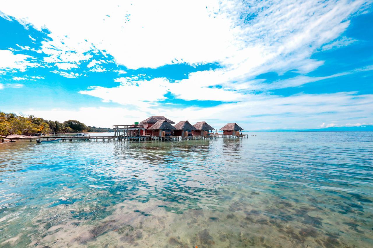 Azul Paradise Bastimentos Ngoại thất bức ảnh