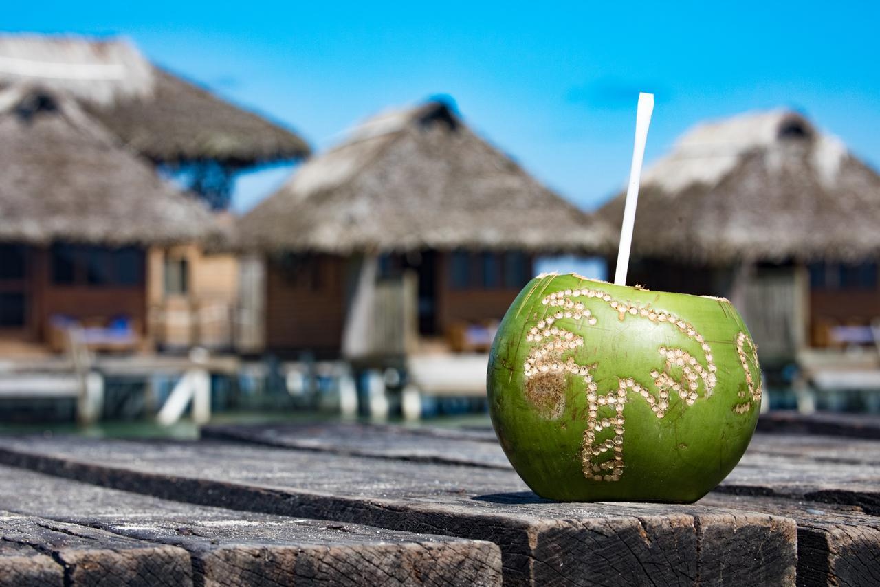 Azul Paradise Bastimentos Ngoại thất bức ảnh